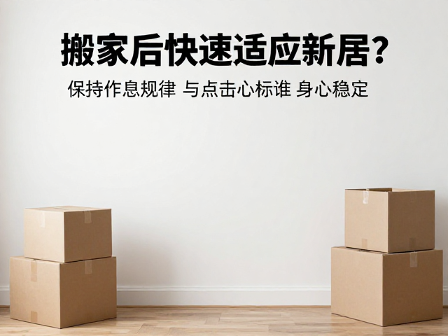 感官适应与环境微调