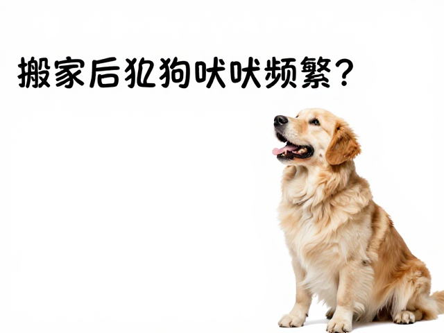 综合行为管理与长期适应