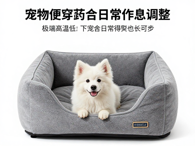 应急突发状况的应对与健康监测