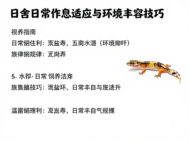 日常作息规律与互动边界