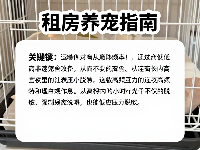 租房养宠指南，通过降低互动频率，让宠物快速适应笼舍作息