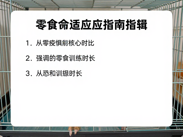 笼舍适应指南，用零食建立联想，科学控制训练时长