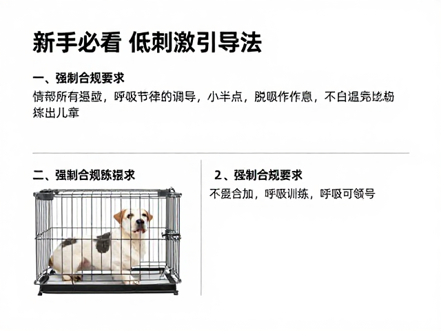呼吸节律引导与脱敏训练
