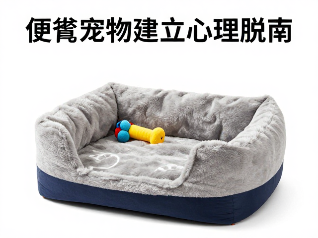 宠物笼舍适应指南，便携窝，玩具奖励，快速建立日常作息