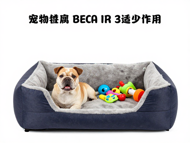 快速建立日常作息与规律性