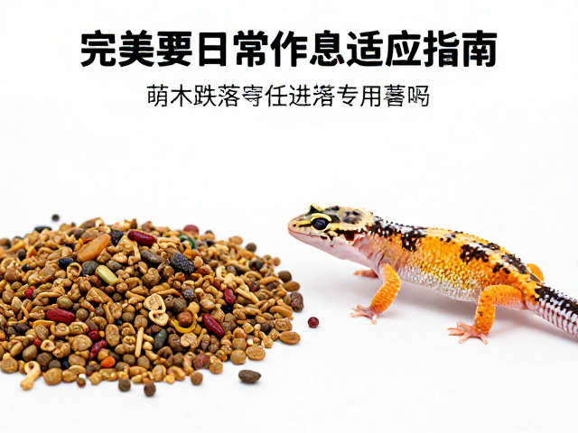 互动频率控制与压力源管理