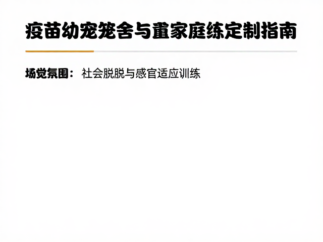 社会化脱敏与感官适应训练