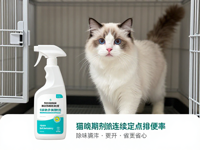 行为引导与正向反馈机制建立