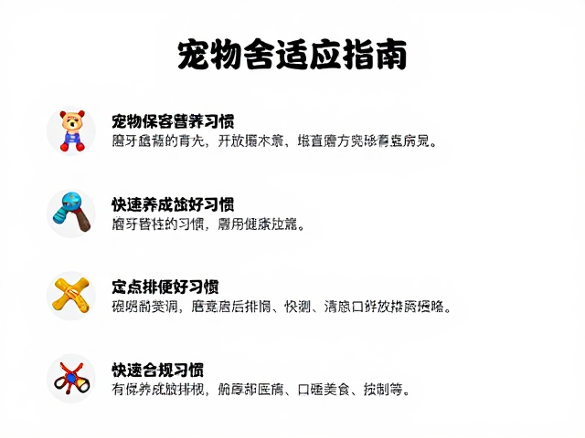 宠物笼舍适应指南，用磨牙玩具替代，定点排便，快速养成好习惯