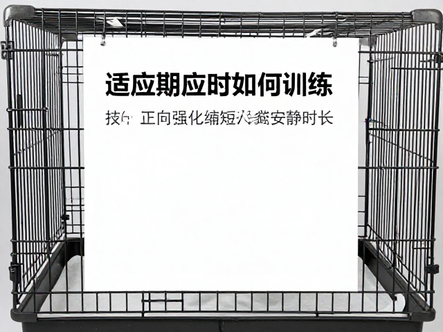 笼舍适应期如何训练？利用正向强化缩短入笼安静时长