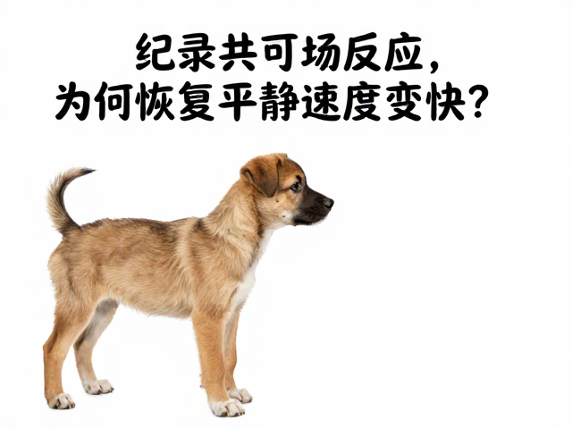 主人反馈对情绪调节的影响