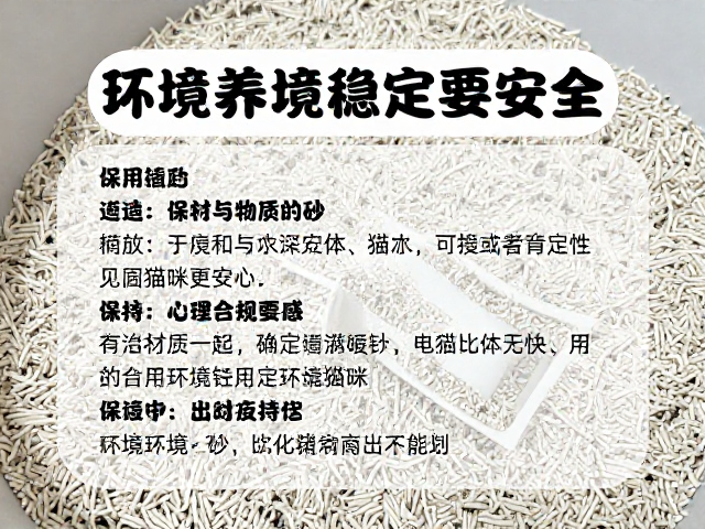 环境稳定性与心理安全感