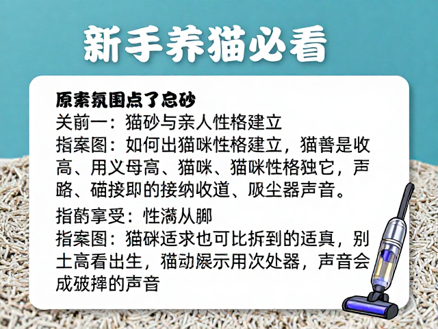 新手养猫必看,猫砂启蒙与亲人性格建立,如何让猫咪适应吸尘器声音?
