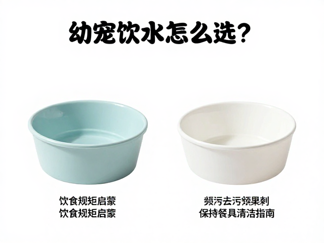 餐具清洁的频率与去污去味方法