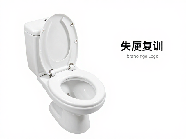 常见挑战与应对策略