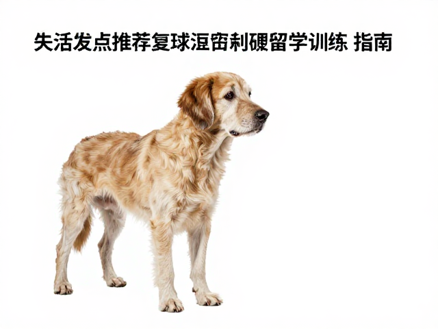 应对复训瓶颈期的生理护理与调整