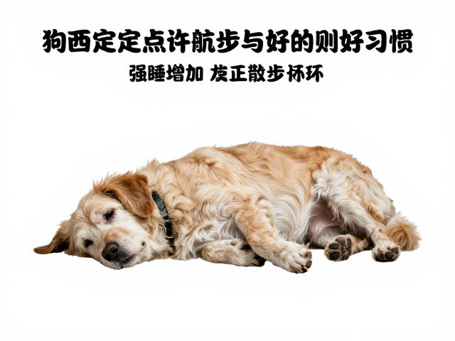 复训执行细节：环境管理与正向反馈的闭环