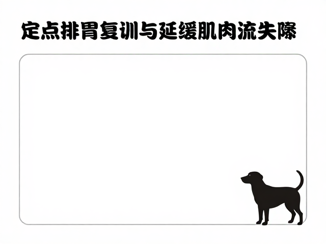 构建标准化的定点排泄复训流程