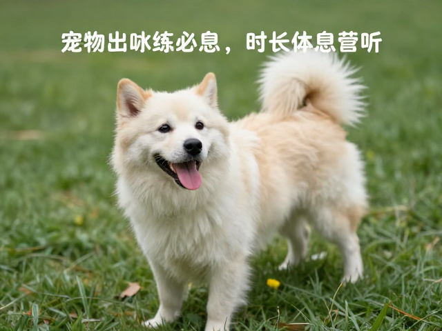 环境丰富化与日常作息管理
