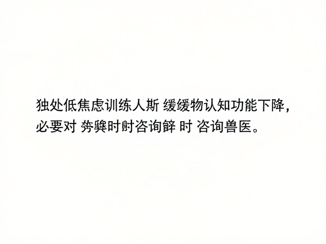 日常作息与身心放松技巧