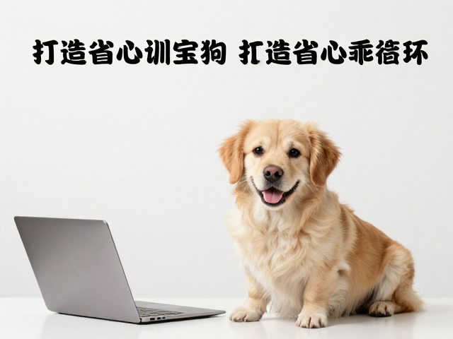 打造省心乖宝宝的长期行为闭环