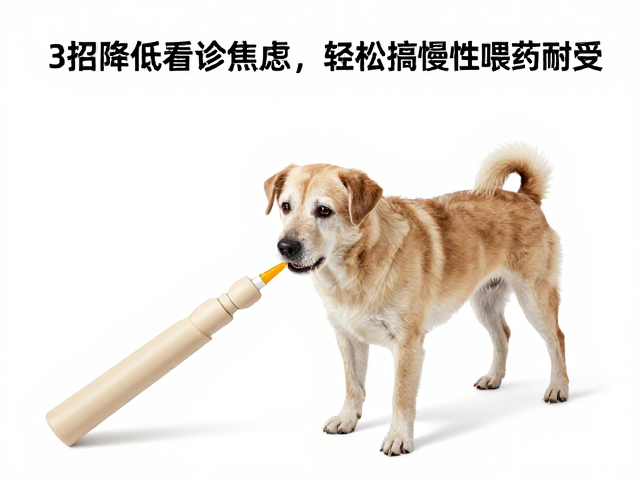 优化喂药技巧与工具，提升药物摄入依从性