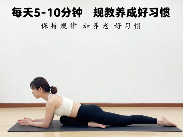 简单服从动作复训的核心逻辑与日常场景