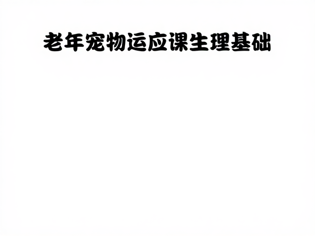 老年宠物适应课,每日短时复训,简单动作轻松适应新环境