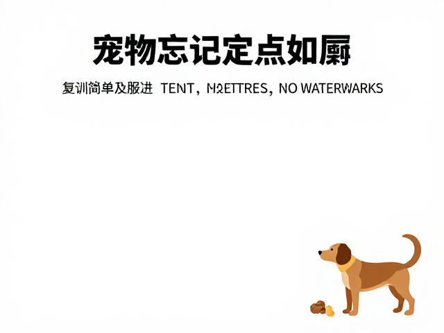 环境管理与习惯重塑