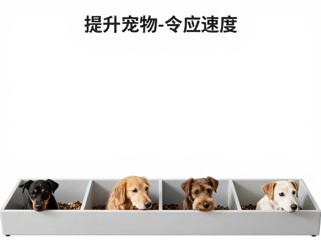 数据记录与进度追踪