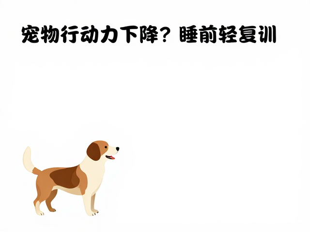 宠物行动力下降？睡前轻互动，简单服从动作复训，找回活力
