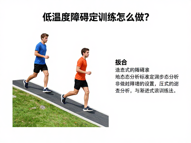 障碍物设置标准与渐进式训练法