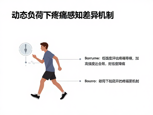 低强度障碍行走与高强度追逐下，如何精准评估疼痛等级？