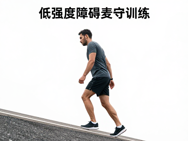 训练周期的规划与生理适应过程
