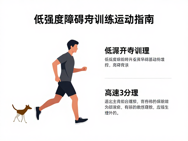 低强度障碍行走训练，宠物康复中心低冲击运动指南
