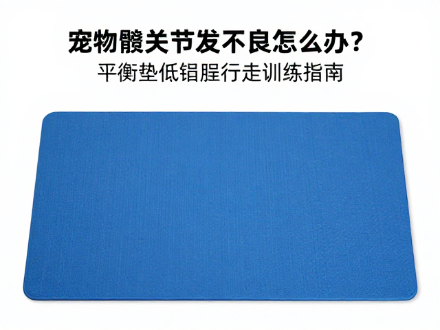 平衡垫训练的科学原理与生理获益