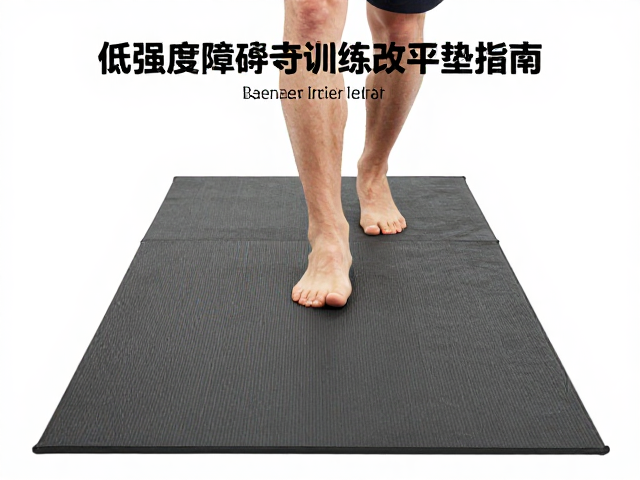 平衡垫训练的协同作用与进阶策略