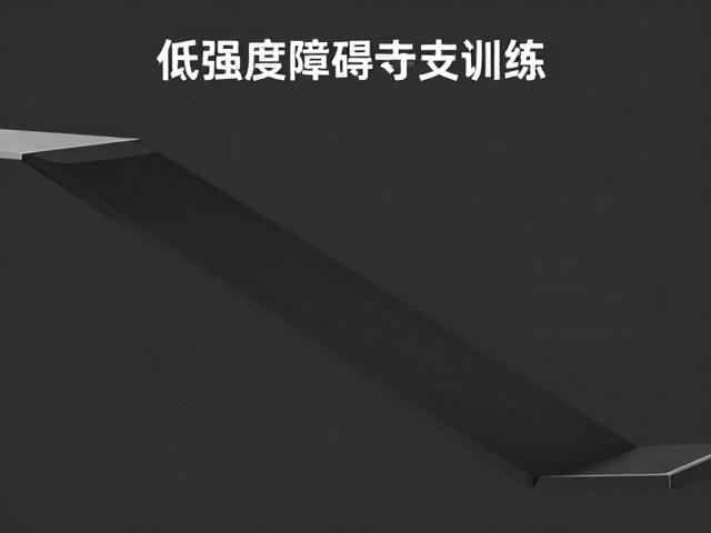 步态稳定性提升的生理机制解析