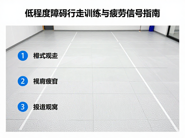 障碍物设置的标准与渐进式调整