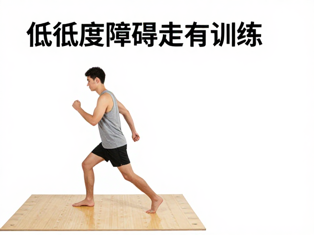 训练过程中的动态调整与安全干预