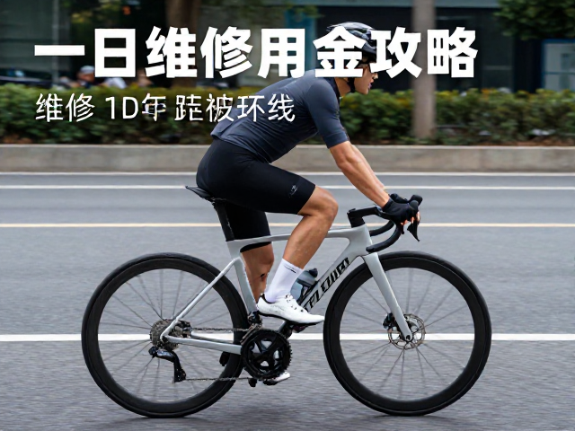 城市一日轻度爬坡环线,含维修备用金攻略