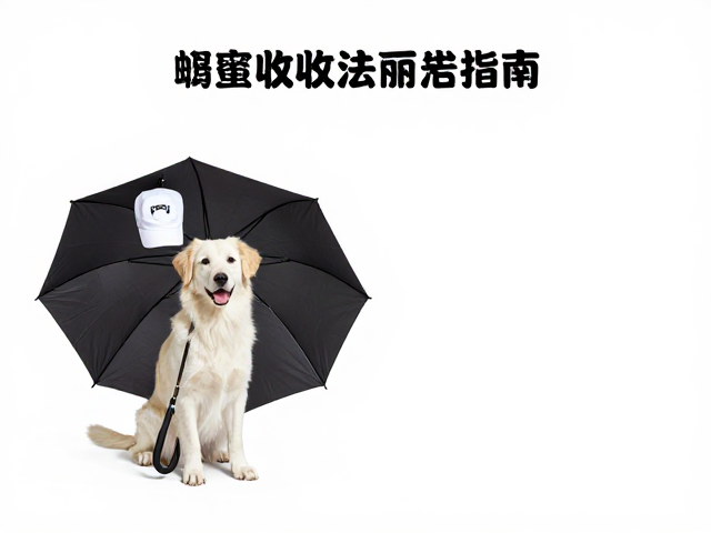 雨伞与帽子的入户脱敏收纳法