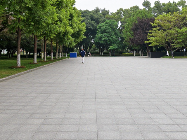 边缘步道的感官调节与心理重建