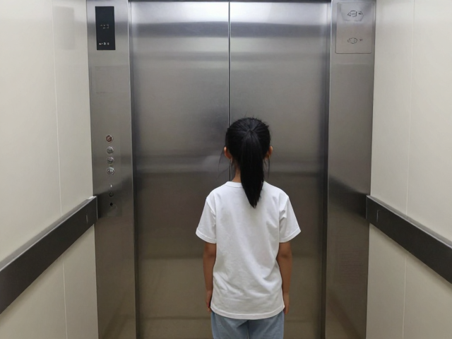 停留训练的具体实施:分阶段建立安全感