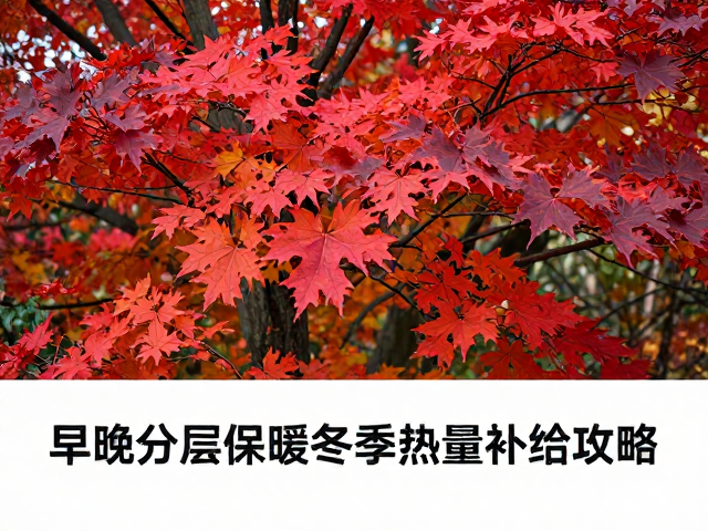 秋季红叶行程，早晚分层保暖与冬季热量补给攻略