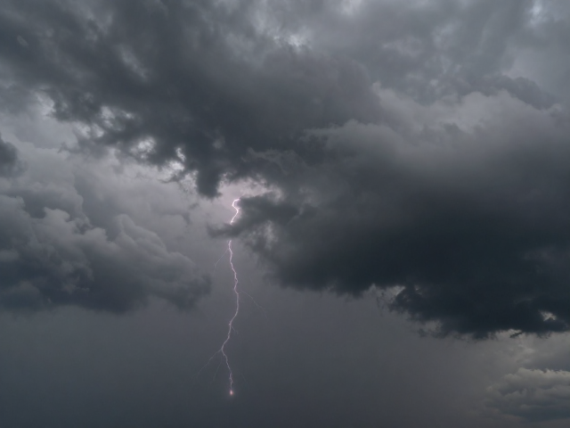 雷雨前光影脱敏，用反条件化告别闪光灯恐惧
