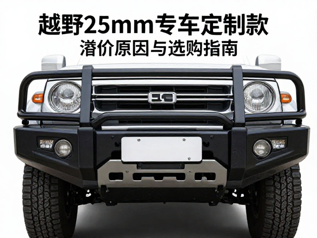 管径25mm越野保险杠专车定制款，溢价原因与选购指南
