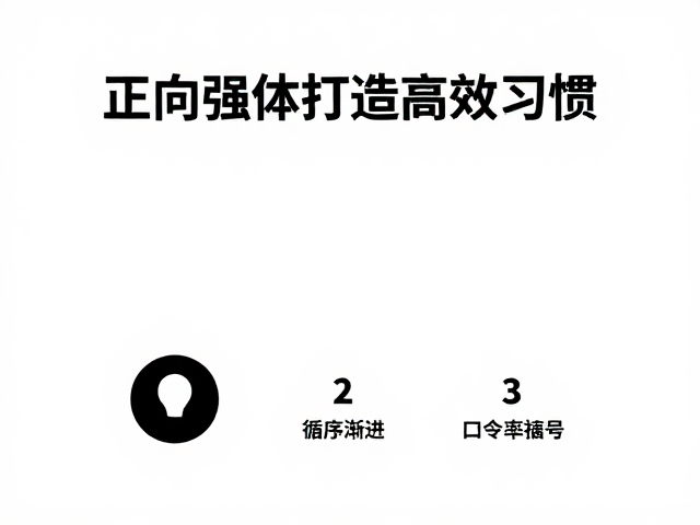 高效习惯的日常落地与反馈循环