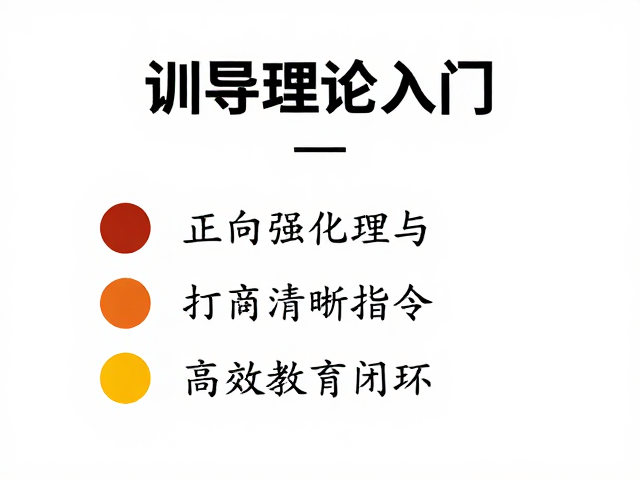 清晰指令的设计原则与执行细节