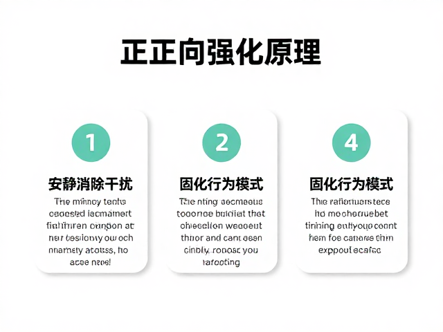 消除干扰与固化行为模式